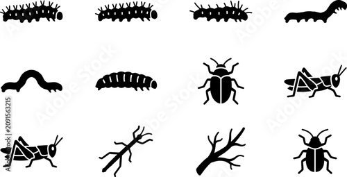 Fotografía Set of Various Insects and Caterpillars Silhouette Icons.