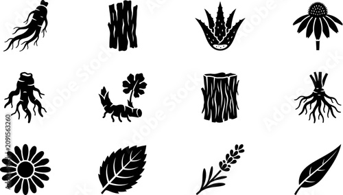 Bilde på lerret Set of black and white medicinal herb and plant silhouettes.