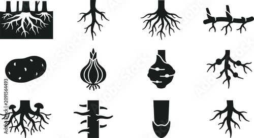Bild auf Leinwand Set of various plant roots and vegetable tuber icons.