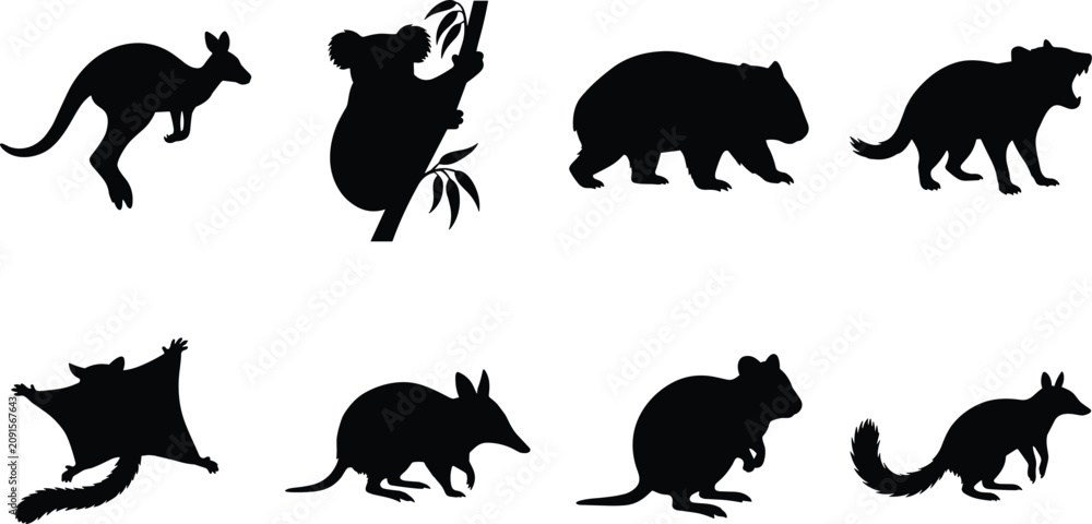 Obraz premium Vector collection of Australian wildlife animal silhouettes featuring a kangaroo, koala, wombat, sugar glider, and tasmanian devil