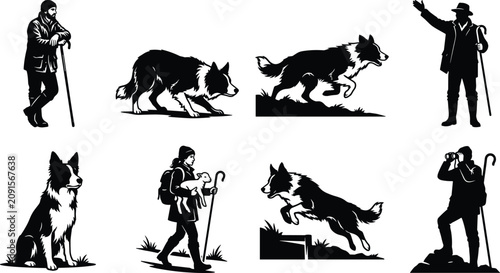 Cuadro en lienzo Vector collection of black and white shepherd silhouettes, working border collie