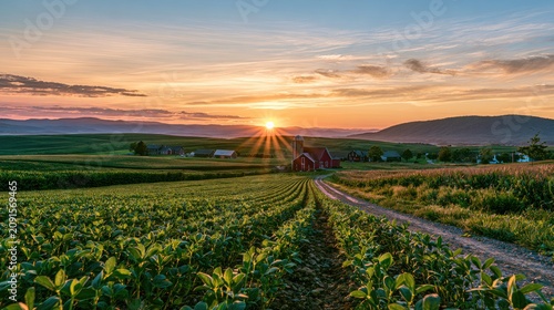 Rural farm landscape with glowing sunset over rolling fields and a red barn
