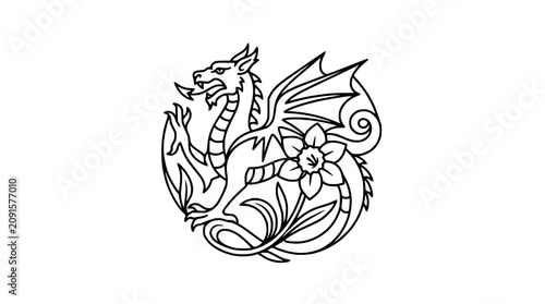 Dragon and Daffodil Emblem: Welsh Symbol, Mythical Creature, Floral Design, Line Art