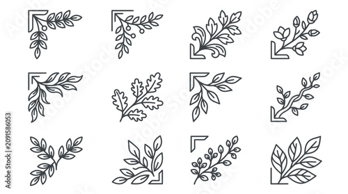 Decorative botanical corner frame line art elements set.