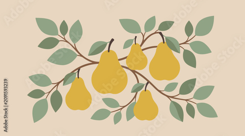 Photos Ripe yellow pears hanging from a fruit tree branch.