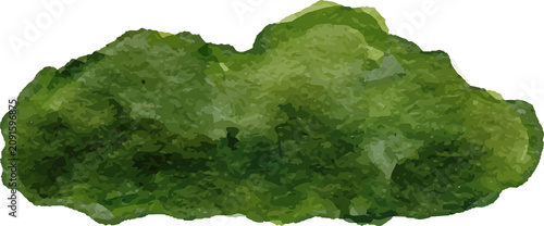 Green moss watercolor splash texture