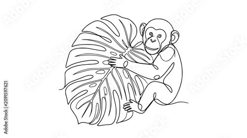 Photography Minimalist single line drawing of a cute chimpanzee hugging a large monstera leaf