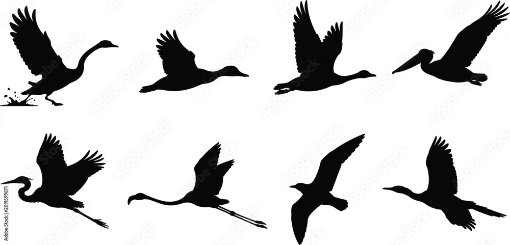 Fototapeta premium Water Bird Silhouette Bundle with Herons Ducks Pelicans Cranes and Flying Wetland Birds