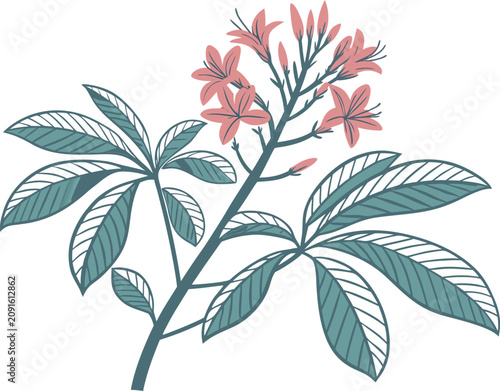 Decorative floral branch illustration featuring pink blossoms and detailed green leaves for elegant graphic design projects