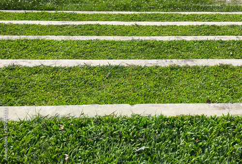 Green Grass Steps With Concrete Edges