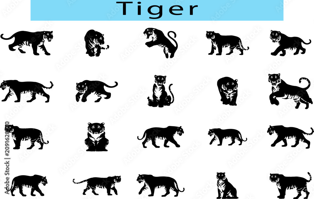 Fototapeta premium Black Tiger vector illustration, Tiger black and white drawing easy, Tiger silhouette image