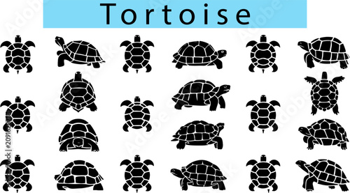 Bild auf Leinwand Black Tortoise silhouette vector illustration, Tortoise black and white vector
