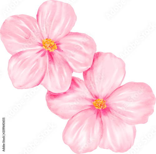 Watercolor Pink Flowers