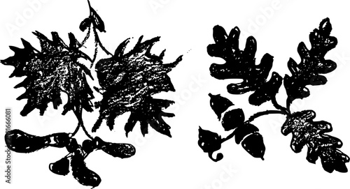 Canvastavla Maple and oak leaves with seeds