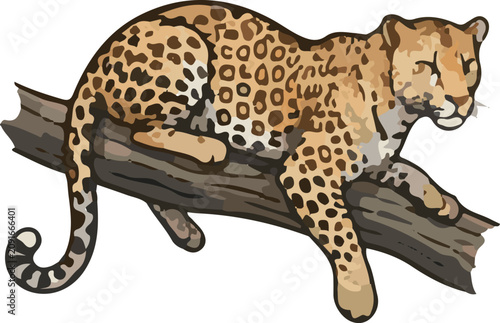 Animal vector nature wild life