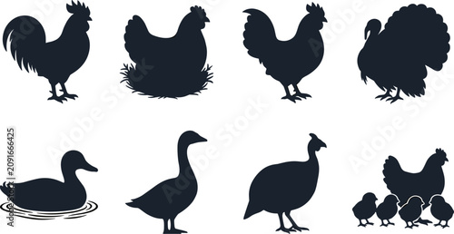Fotografie Poultry Farm Bird Silhouette Collection Vector Set Featuring Rooster Hen Turkey
