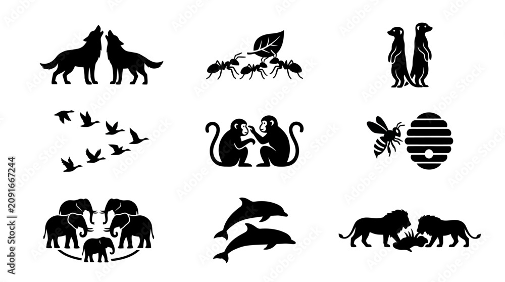 Obraz premium Silhouettes of various wild animals.