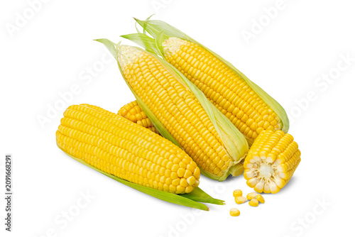 Close-up of Multiple Husked Yellow Sweet Corns with Cut Cob and Kernels on White Background
