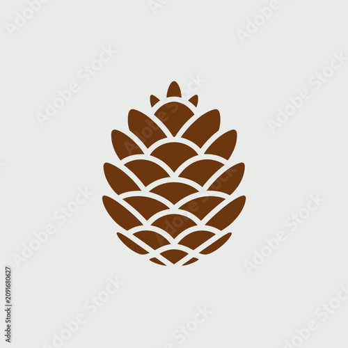 Photography Detailed Brown Pine Cone Illustration on Plain Background.