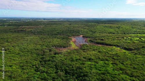 Panoramic Summer Landscape with Lush Green Fields and Grass Under a Bright Blue Sky with Soft Clouds