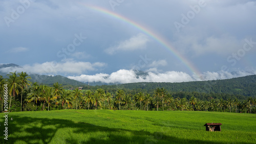 rainbow over the fields, part 2