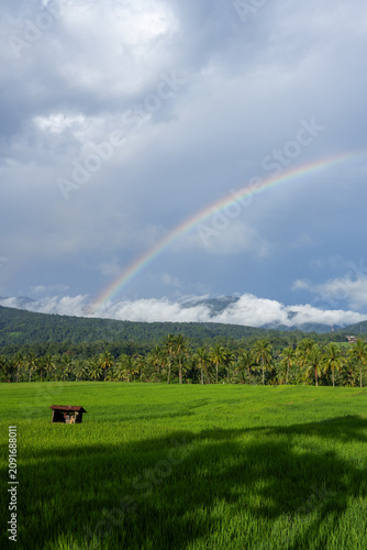 rainbow over the fields, part 1