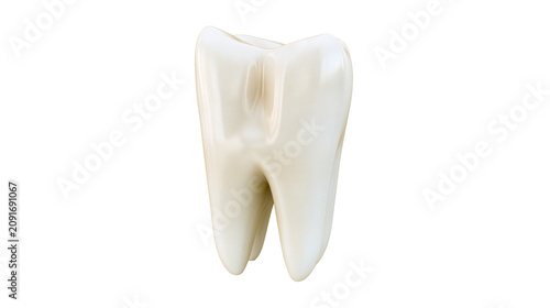 Obraz na płótnie Healthy human molar tooth with smooth enamel surface, isolated on transparent ba