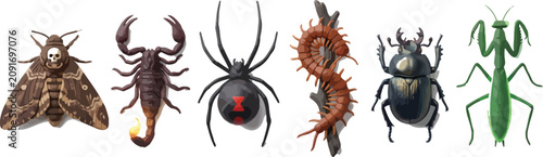 Foto Detailed illustrations of various insects and arachnids including a deaths-head