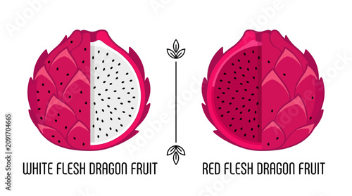 Fresh Sliced Dragon Fruit with White Pulp and Vibrant Red Skin