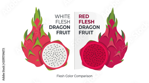 Fresh exotic white flesh dragon fruit pitaya with vibrant pink skin