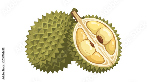 Fresh whole durian and opened fruit with creamy yellow pulp showing prickly skin