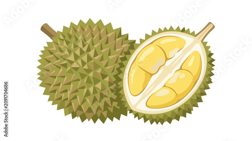 Whole and opened durian fruit showing creamy yellow flesh and thorny outer husk