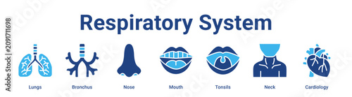 Obraz na plátně Respiratory System web banner icon vector illustration concept for medical with icon of Lungs, Bronchus, Nose, Mouth, Tonsils