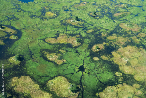 An aerial view of the lush green and scape of the Okavango Delta in Botswana 