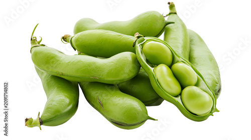 Cuadro en lienzo Fresh green fava beans in pods one pod opened revealing seeds, isolated on trans
