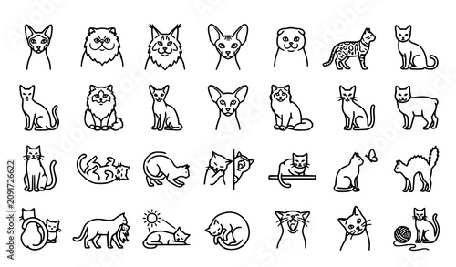 Canvastavla Cat breeds and poses outline icons | Domestic feline cartoon kitten sitting slee