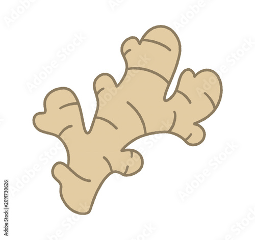 fresh ginger root