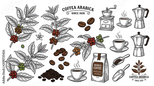 Bild auf Leinwand Coffee Arabica Plant, Beans, Grinder, Moka Pot, and Bag - Hand-drawn Sketch