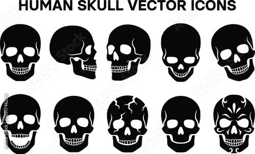Human Skull Silhouette Icon Sheet.