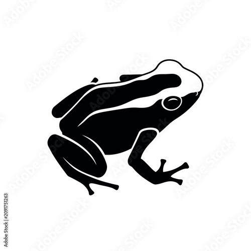 Tableau sur toile Black silhouette of a frog.