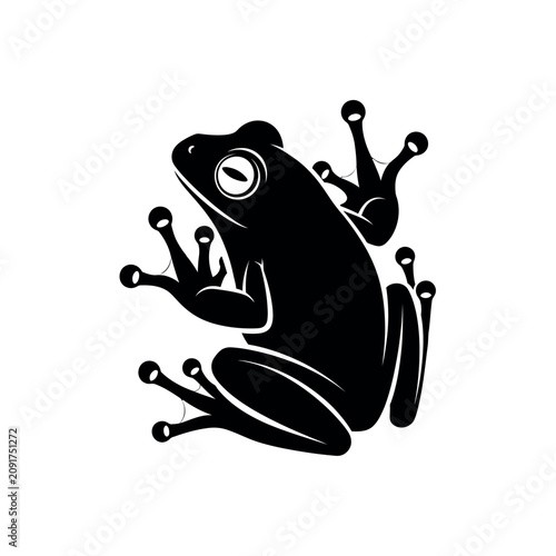 Photos Black silhouette of a sitting frog.