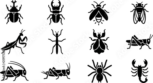 Fotografie Collection of various insect and arachnid silhouette icons.