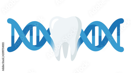 Fotografía White Molar Tooth Extending into Blue DNA Roots