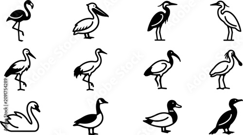 Foto Collection of various water bird silhouettes and icons.