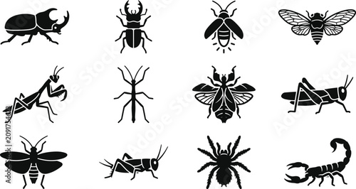 Photos Set of various insect and arachnid icons in black and white silhouette style