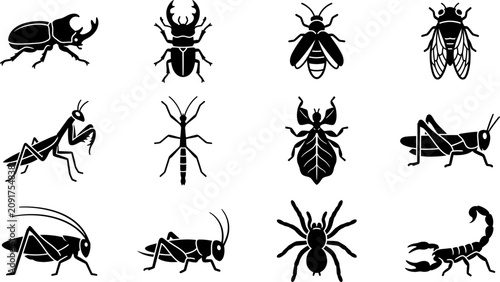 Photos Set of Various Insect Silhouettes and Arthropod Icons.