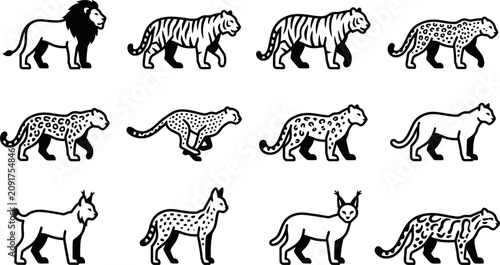 Cuadro en lienzo Set of various wild cat species black and white vector icons.