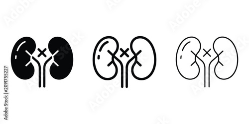 Konstfotografi Kidney dysfunction medical icon silhouette vector, bold outline and line art des