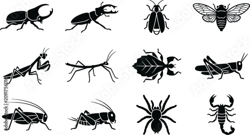 Fotografie Set of Various Insect Silhouettes and Arthropods Icons.