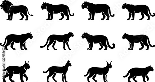 Photography Collection of black silhouette wild cat species set.
